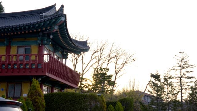 Traditional Korean house surrounded by trees and plants, with sunlight