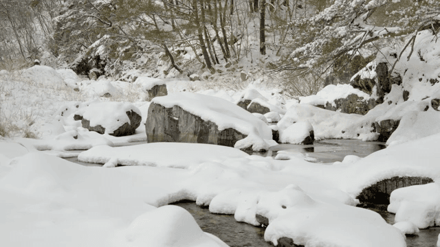 Snow-covered rocks and trees by a stream