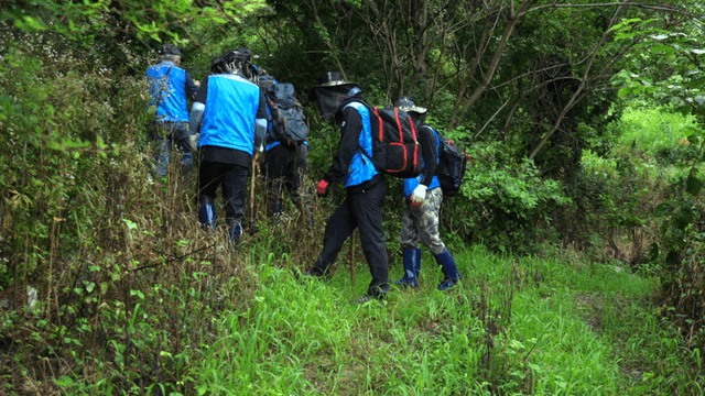 Hikers walking through a lush forest trail