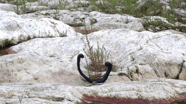 바위 지형 위의 검은 닻 모양 나무 조각품