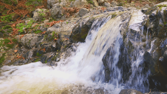 바위를 따라 떨어지는 계곡물