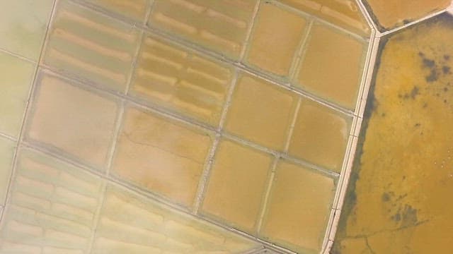 화창한 날 평화로운 바다 근처의 광활한 소금 평원