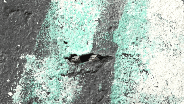 Two frogs peeking from a wall crack
