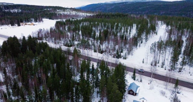 Snow-covered forest with a winding road