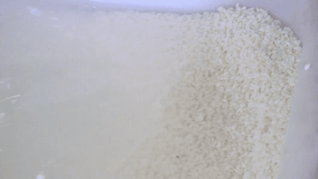 물에 쌀을 씻는 장면