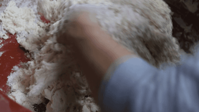 큰 그릇에서 반죽을 치대는 손