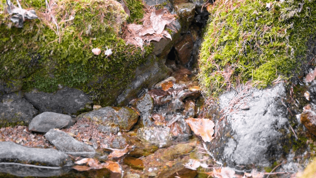 바위 위로 흐르는 작은 시냇물