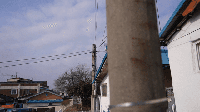 Quiet residential street with utility poles.