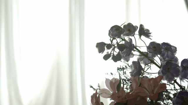 햇빛이 비치는 창가의 꽃