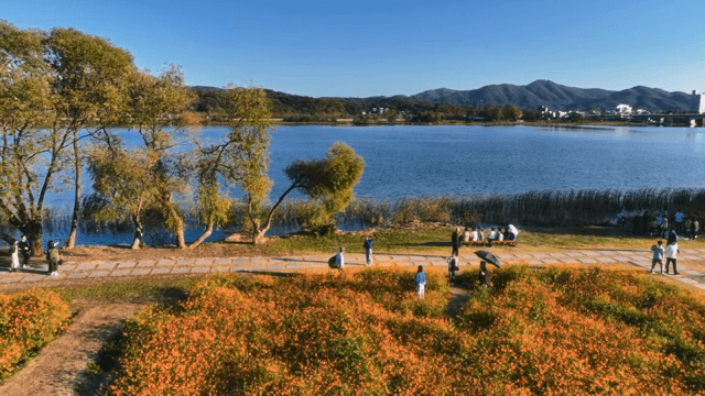 화려한 꽃밭이 있는 호숫가 공원