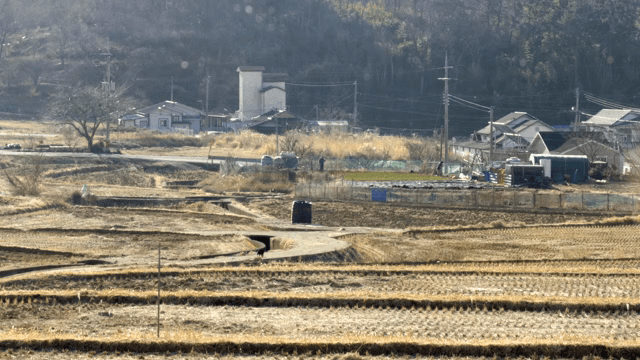 들판과 집이 있는 시골 마을