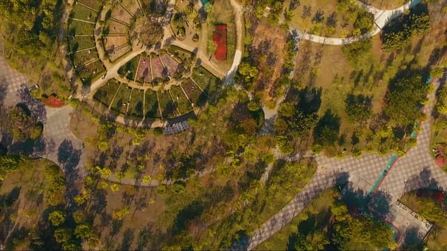 초목이 우거진 공원의 항공 전망