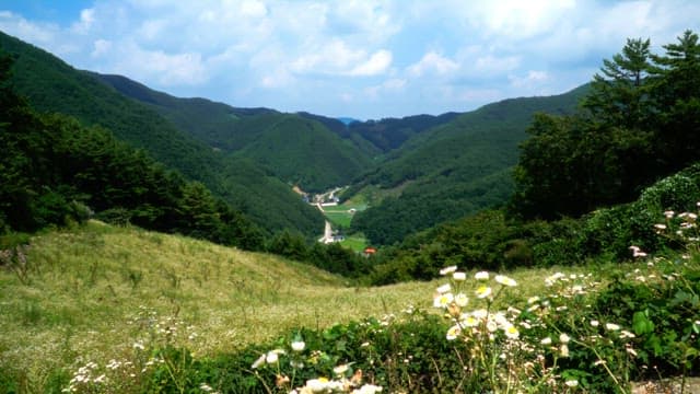 Green mountain scenery under the blue sky