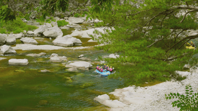 경치 좋은 강에서 래프팅하는 사람들