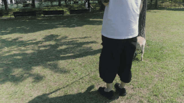 햇살 가득한 공원에서 개를 산책하는 사람