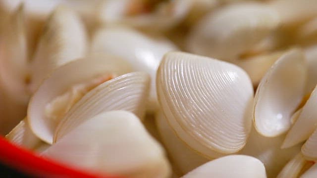 Close-up of fresh clams in a bowl