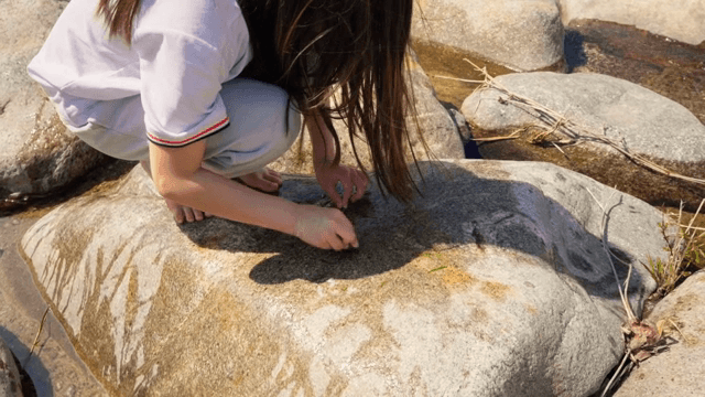 바위 위에서 풀을 갖고 노는 아이