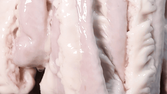 Close-up of raw beef intestines being prepared