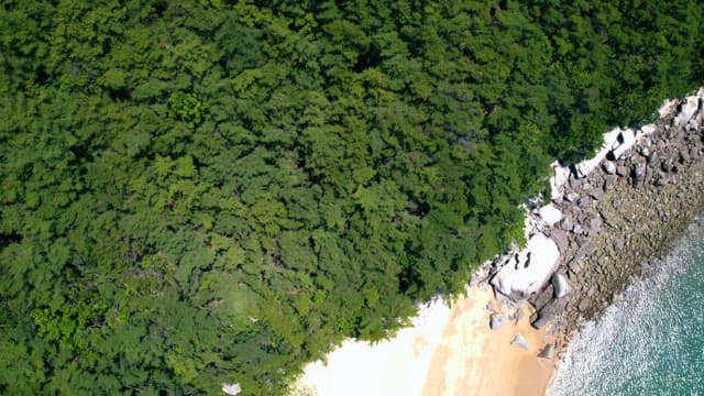 Pristine Beach and Forest