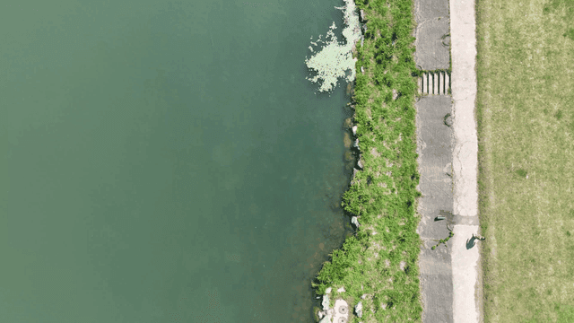 Person walking by a riverside path