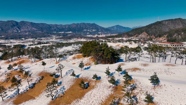 Snowy Landscape with Pine Trees and Mountains