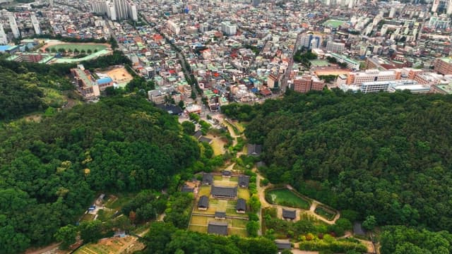 푸른 숲과 한옥 마을이 함께 있는 도시 풍경