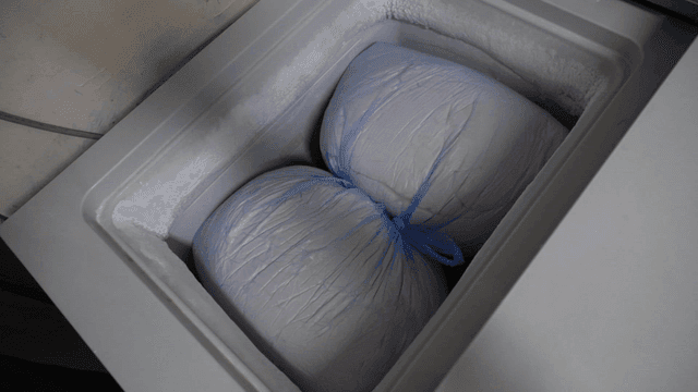 Gloved hand opening a freezer with bags