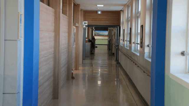 Empty, sunlit elementary school hallway