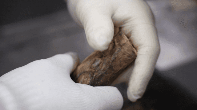 말린 생선 머리를 부수는 장갑 낀 손