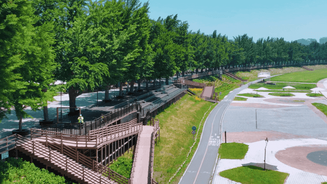 Scenery of park overgrown with green trees