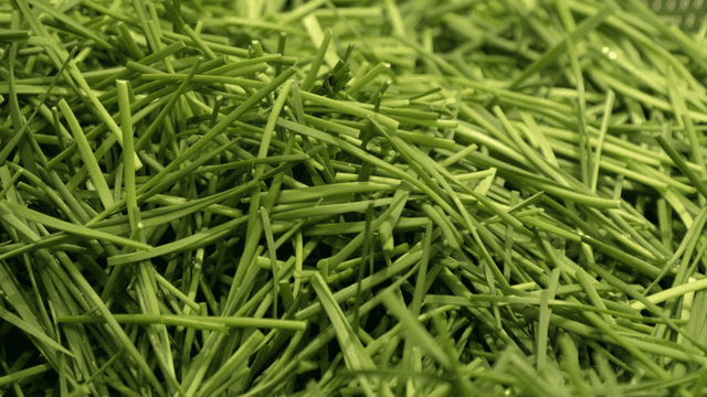 Fresh green chives piled together