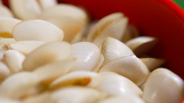 Close-up of fresh clams in a bowl