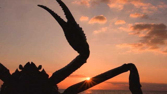 Giant Crab Sculpture Silhouetted at Sunset