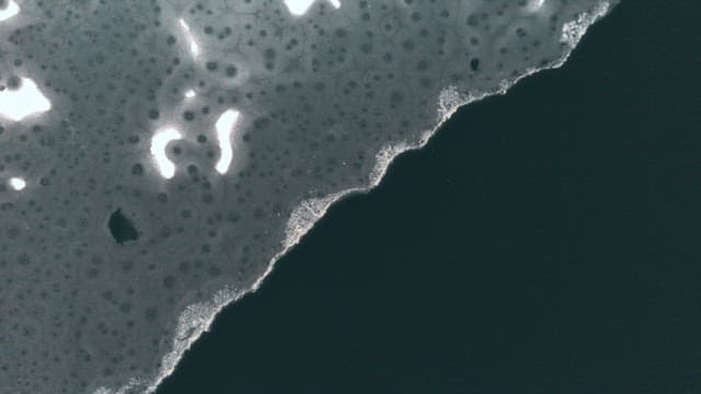살얼음이 낀 강의 풍경