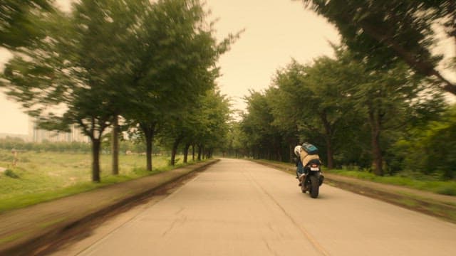 Motorcyclist Traveling Down a Tree-Lined Road