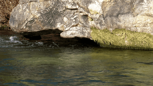 바위 밑 흐르는 시냇물