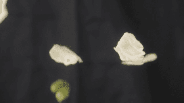 공중에서 떨어지는 다양한 채소