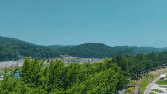 Scenery of green trees and distant hills.