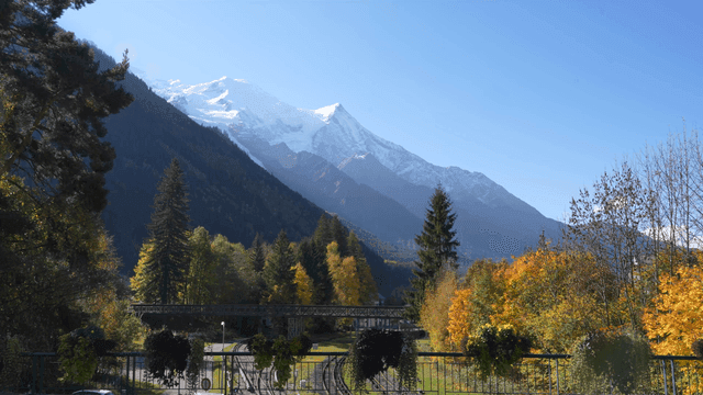 Snow-capped mountains and autumn trees