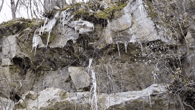 Icicles hanging from a rocky cliff