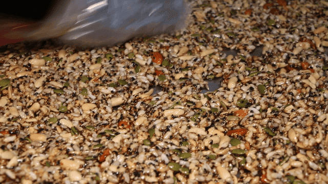 강정을 만들기 위해 평평하게 피는 과정