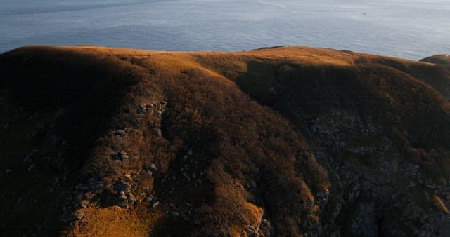 평화로운 해안 언덕과 바다 풍경