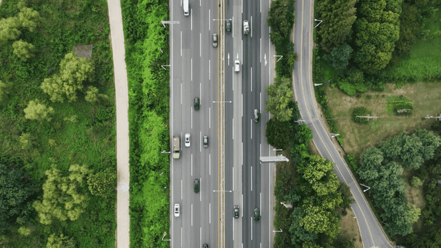 Highway surrounded by lush greenery