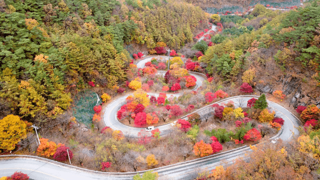 Winding roads with autumn foliage