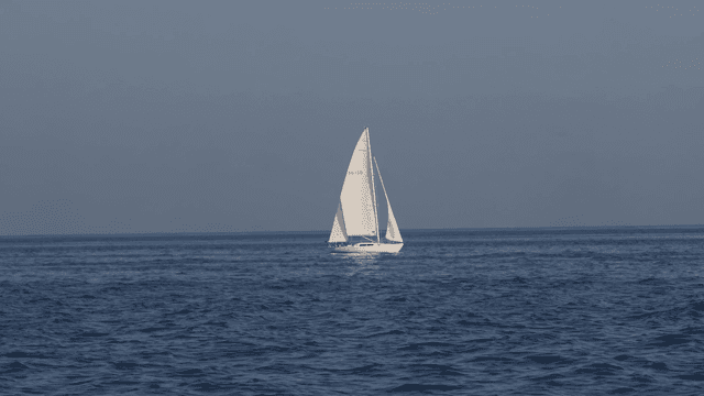 Yachts sailing on sea