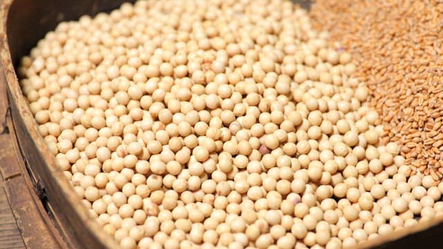 나무 쟁반에 놓인 메주콩과 곡물, 소금