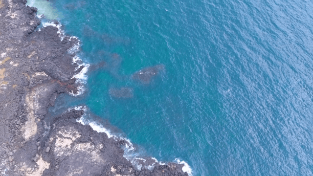 청록색 바다와 바위 해안선