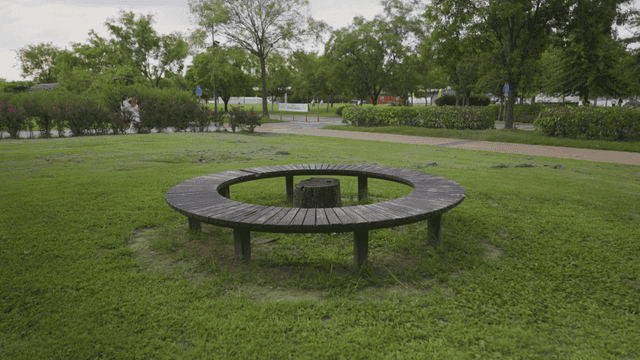 Park lawn with round benches