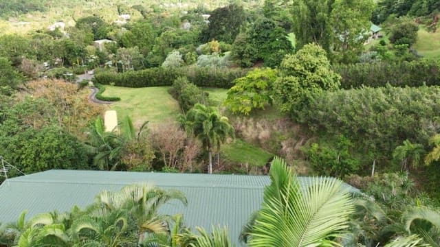 산과 숲의 푸른 녹음로 가득한 자연