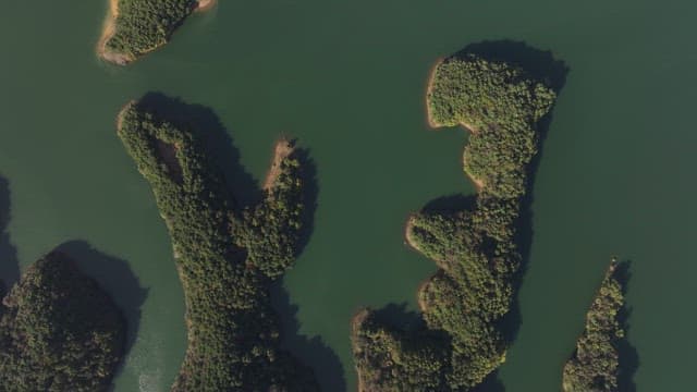 우거진 산림 언덕 사이의 평화로운 호수